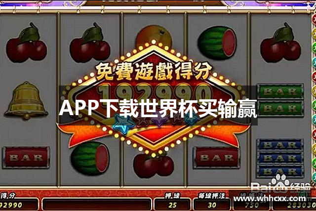 APP下载世界杯买输赢